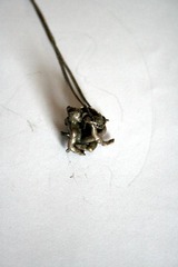 Killikus® Fotographie